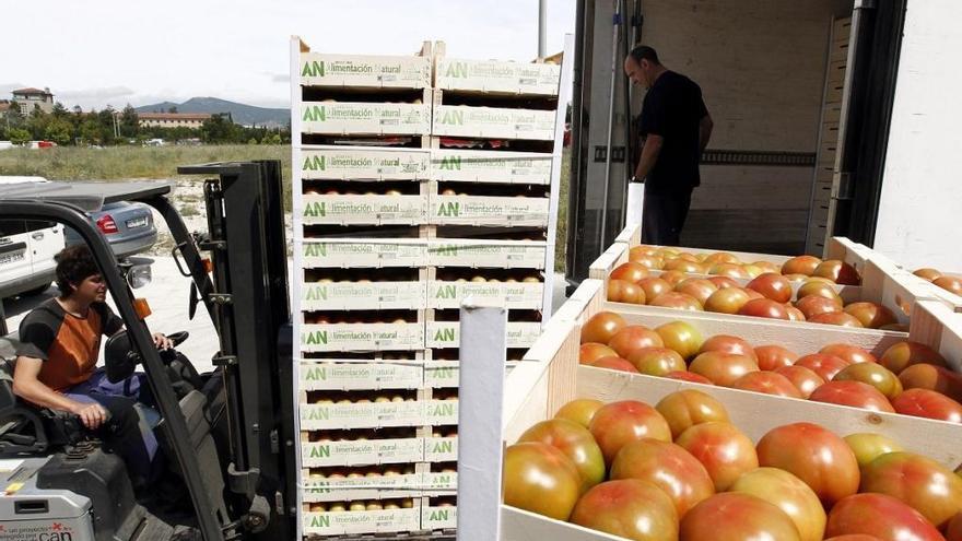 El Gobierno reclama a la Región la devolución de un millón de euros en ayudas hortofrutícolas