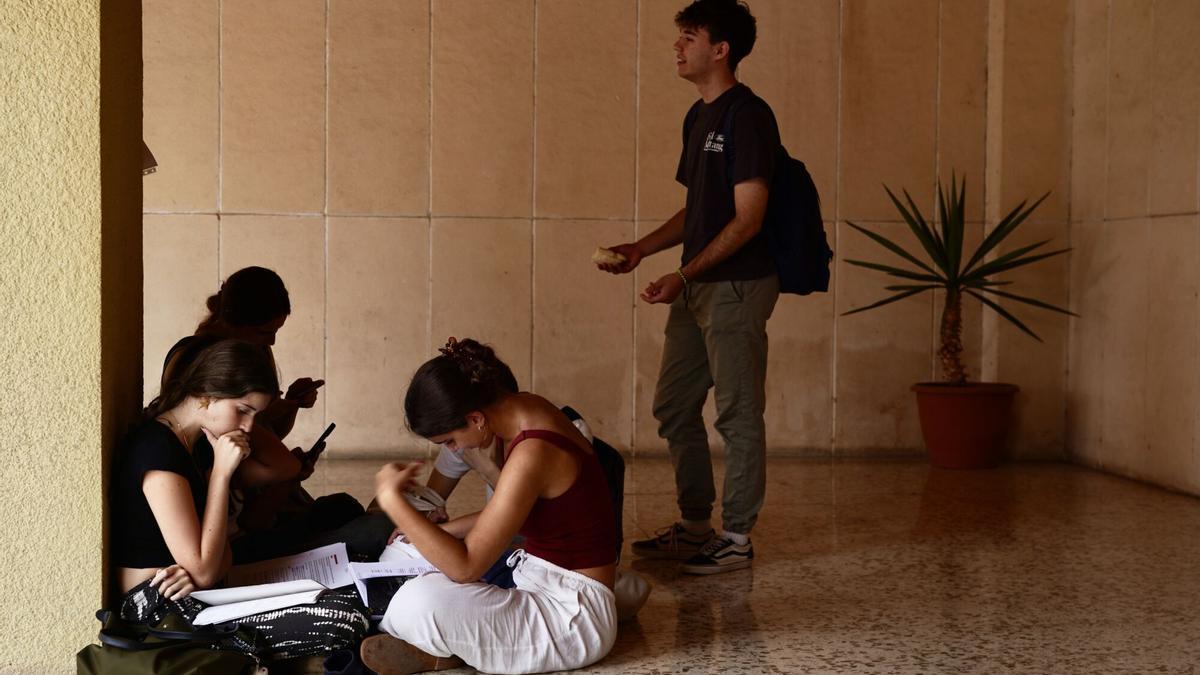 Estudiantes malagueños se enfrentan a la Prueba de Acceso a la Universidad (Selectividad 2025)