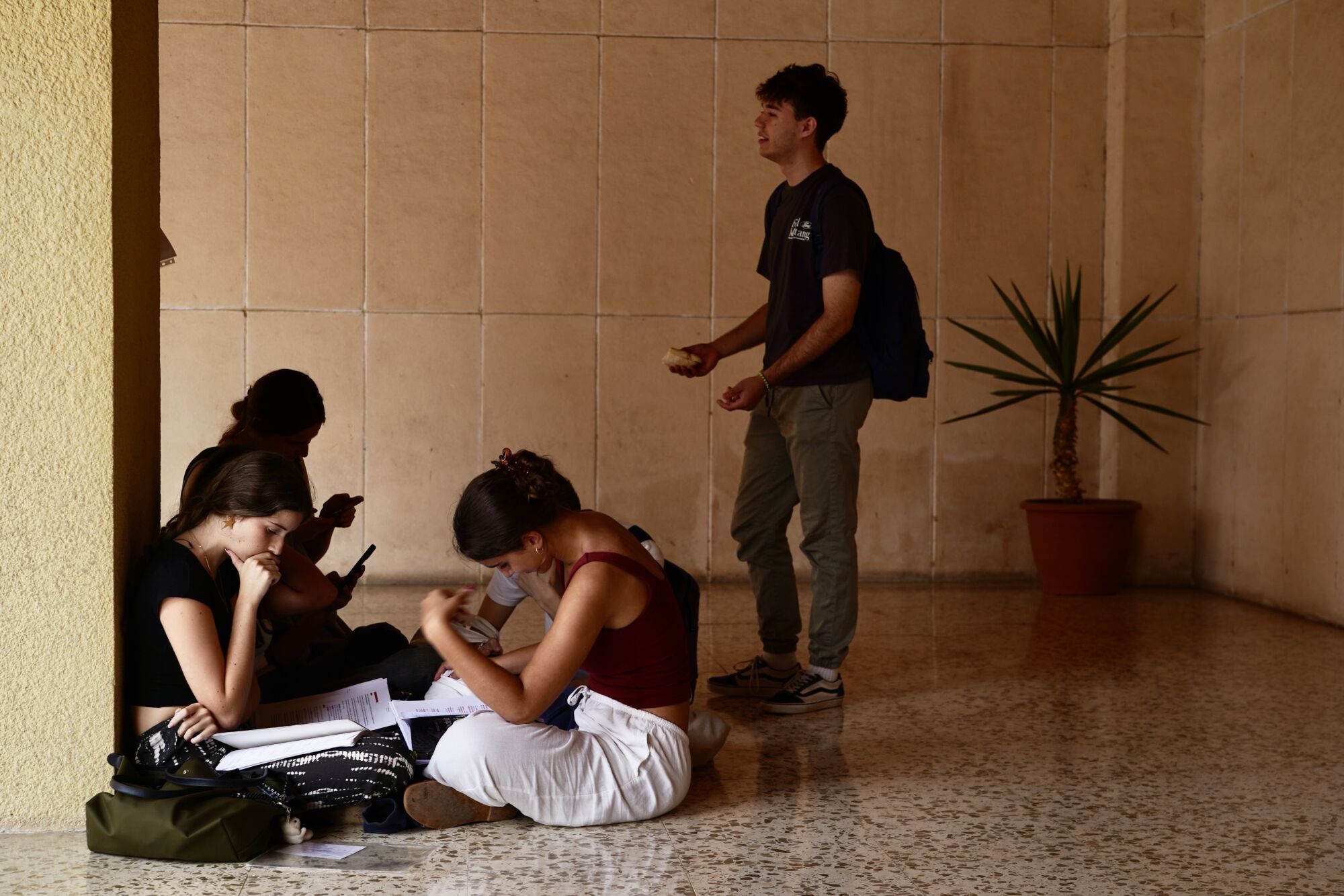 Estudiantes malagueños se enfrentan a la Prueba de Acceso a la Universidad (Selectividad 2025)