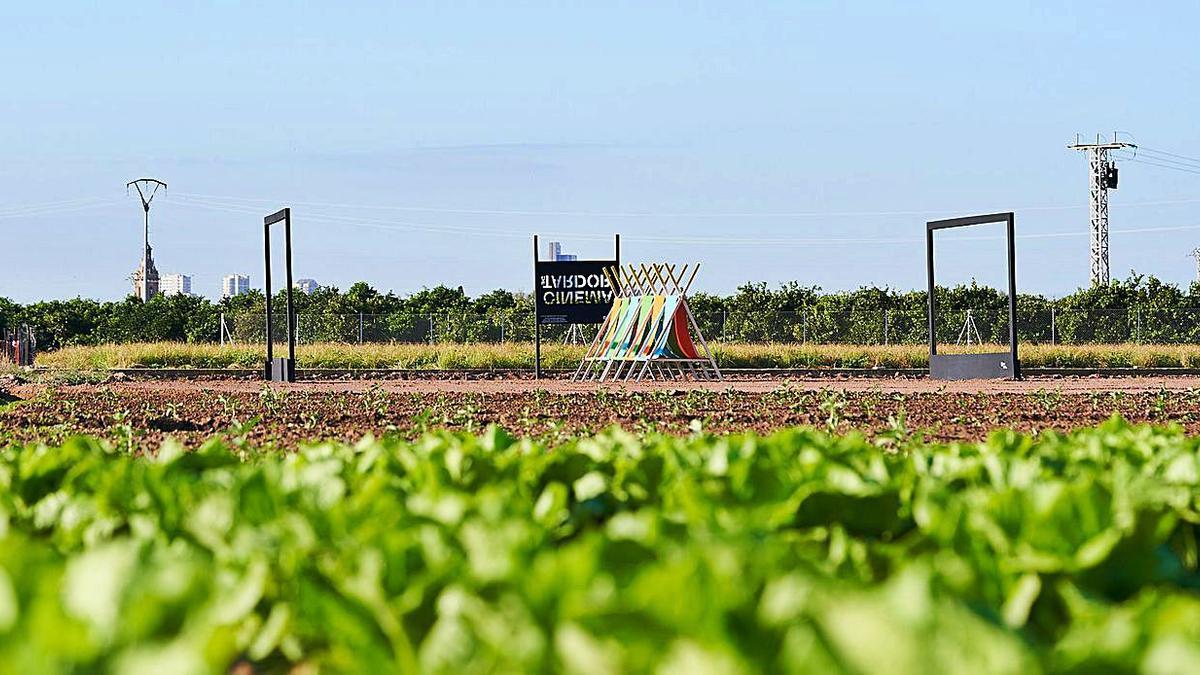 ‘Cinema de tardor’, el muntatge en el terme d’Alfara del Patriarca. | L-EMV