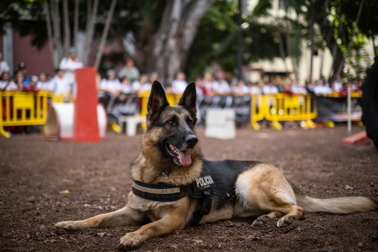 Apertura jornadas 25 aniversario Unidad Canina de la Policía Local