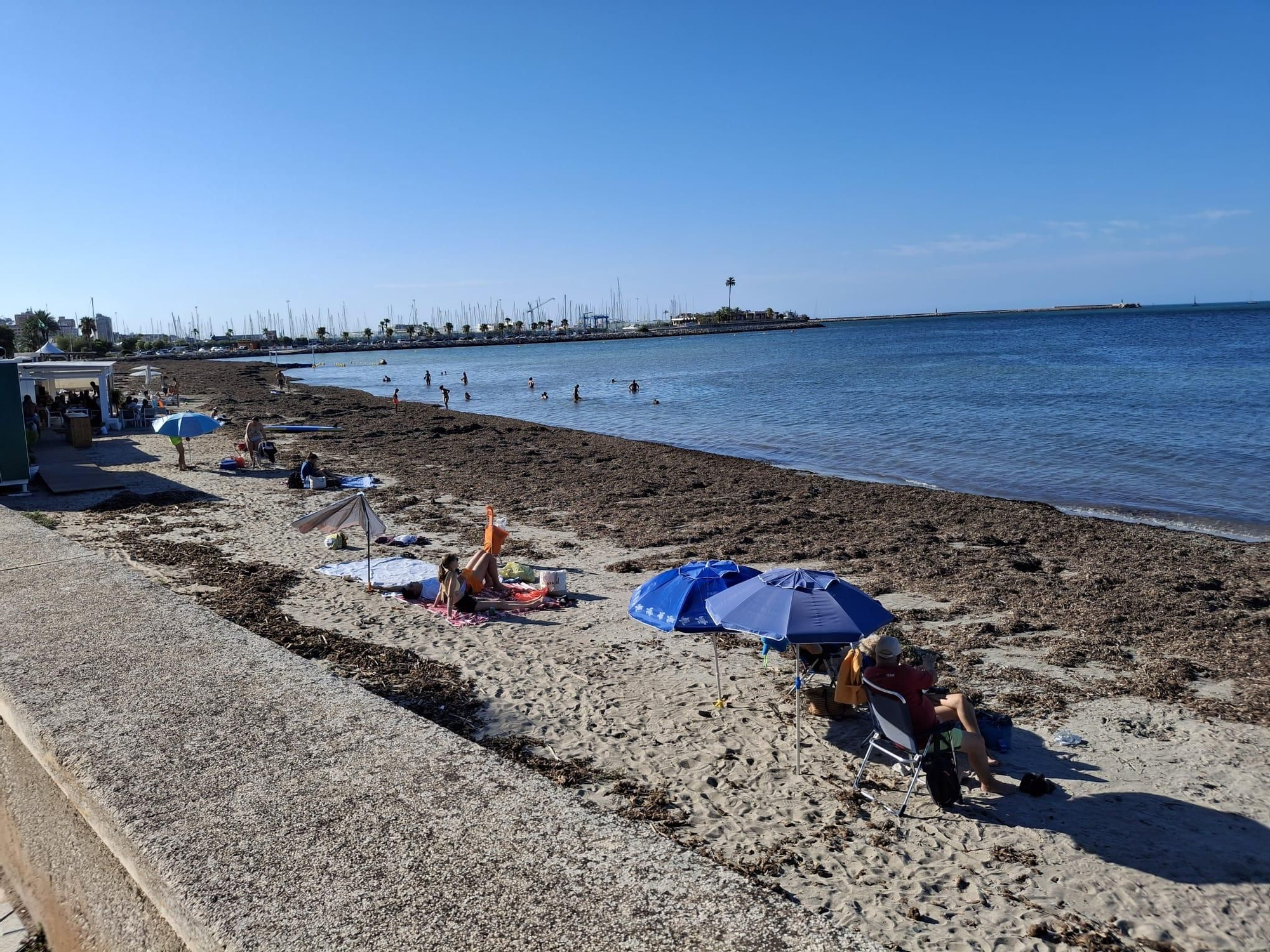 ¡Esto es vida!: manto de posidonia, aguas cristalinas y paz absoluta en la Marineta Cassiana de Dénia