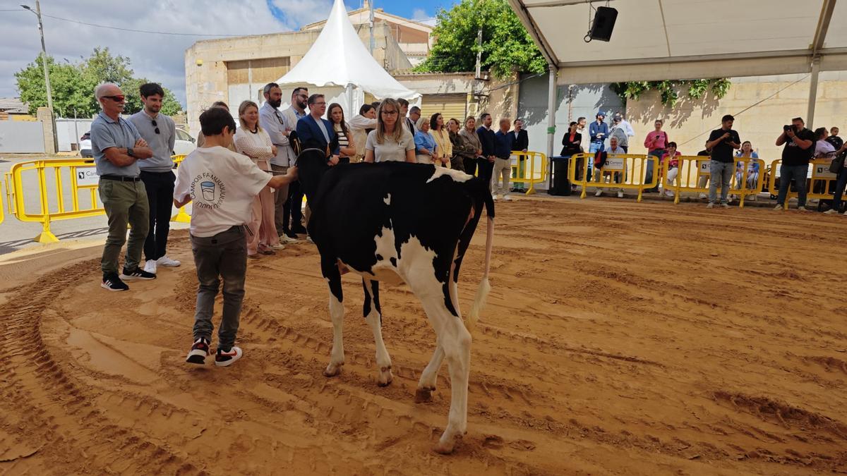 FOTOS | Búscate en la Fira de ses Vaques de Campos