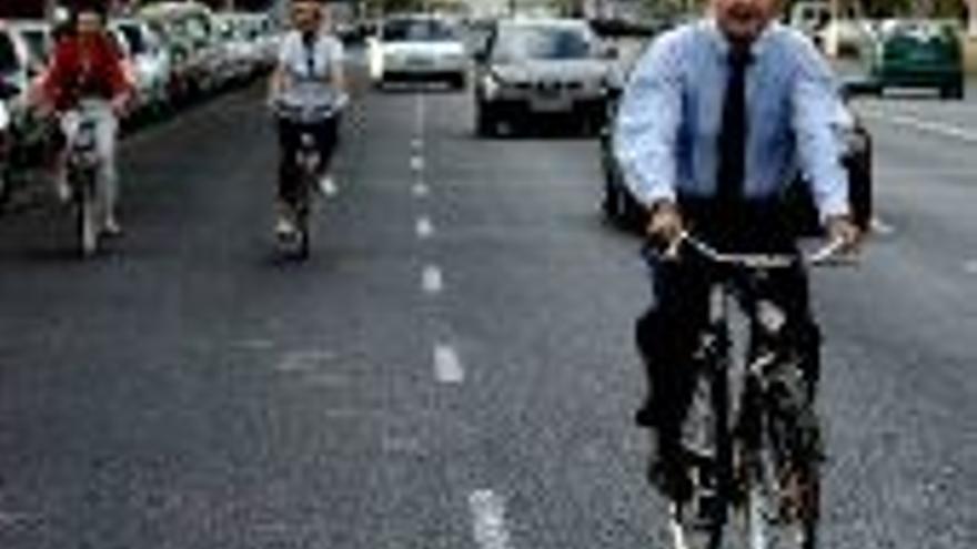 Camino del Palacio de San Telmo en bicicleta