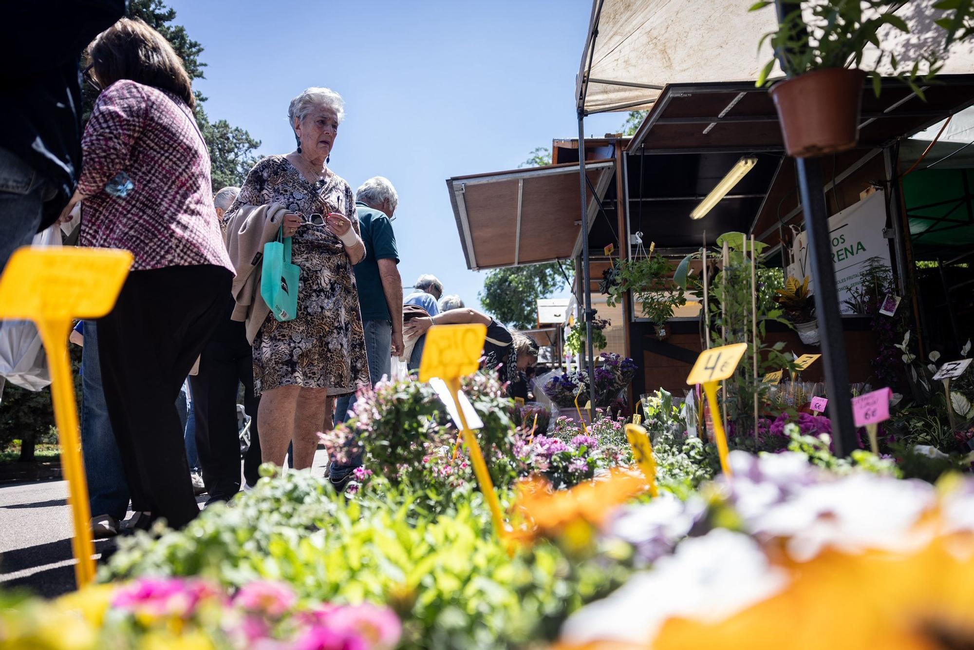 El festival Zaragoza Florece adorna el Parque José Antonio Labordeta hasta este domingo