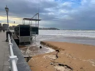 Las mareas y la lluvia llenan de restos de ramas y troncos la playa de Gijón (en imágenes)