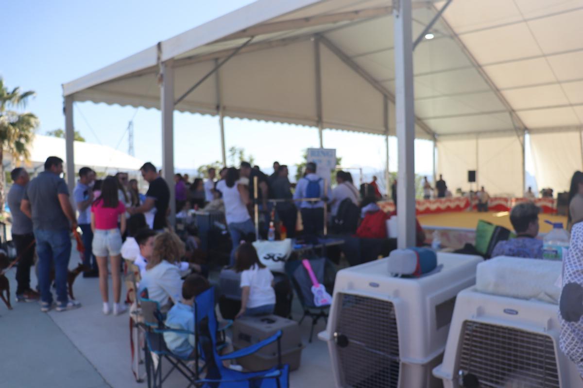 Feria del Perro de Archidona de 2024
