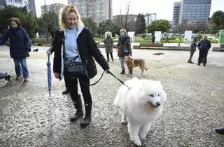 La bendición a un amigo incondicional