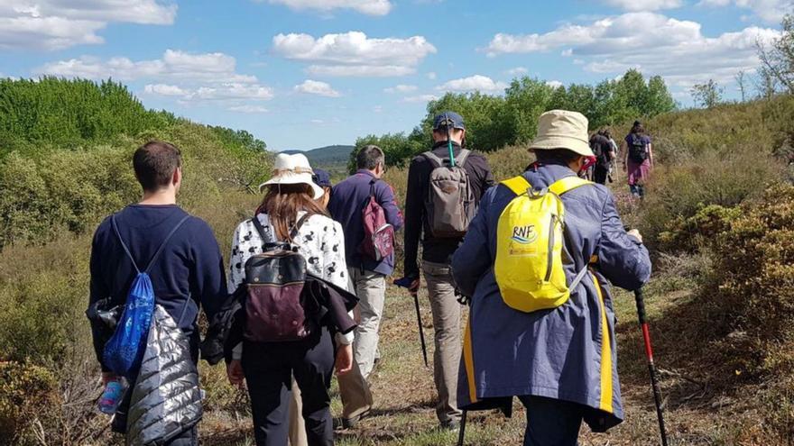 Actividad de la Escuela Micológica de Ungilde. | Cedida