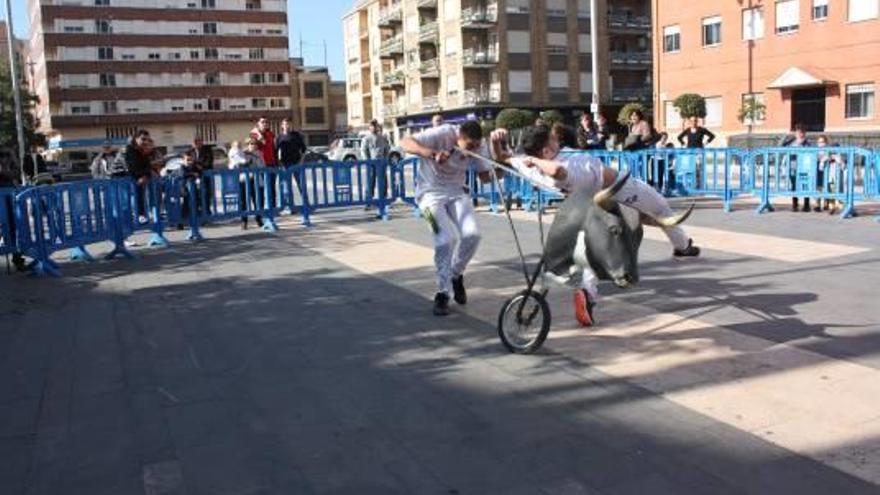 Día de recortes en las Jornades del Bou de Almassora