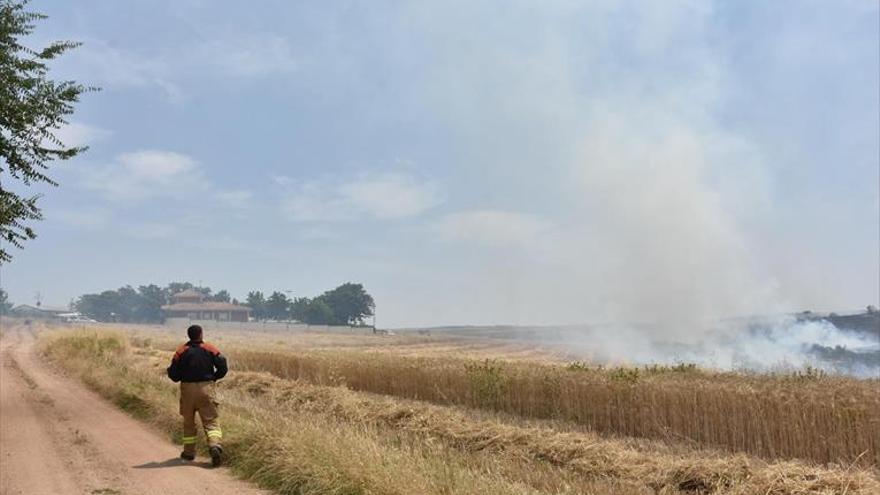 Un fuego junto a Río Caya arrasa 84 hectáreas, la mayoría de cereal