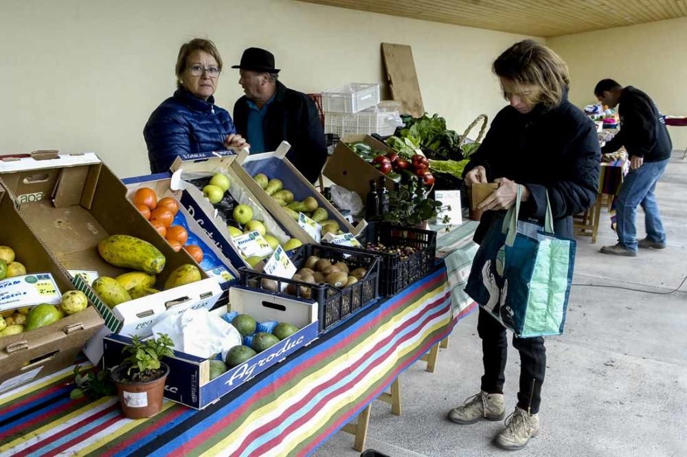 Mercado de berros a 1 euro en Ingenio