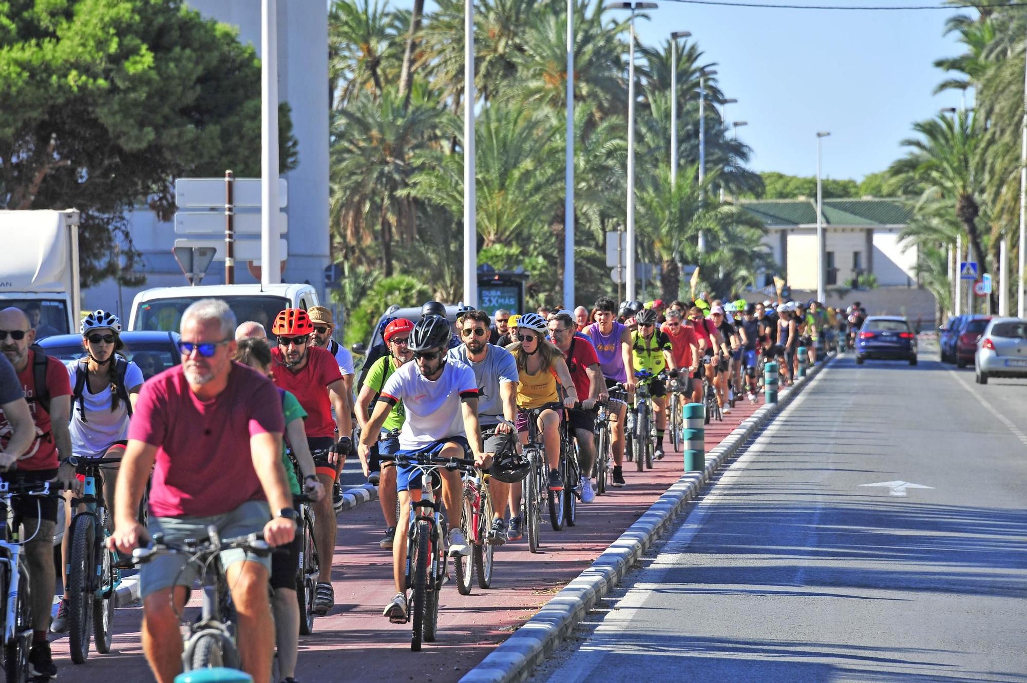 Segunda 'bicifestación' en Elche