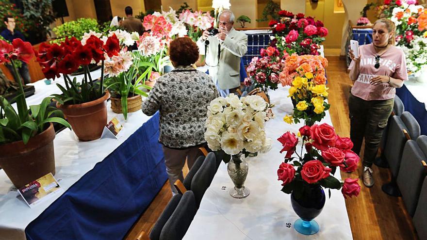 Exposición de flores en su edición de 2019.