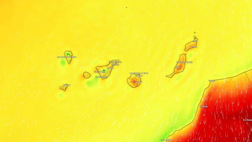 На Канарських островах прогнозують потепління до +30°C та посилення вітру