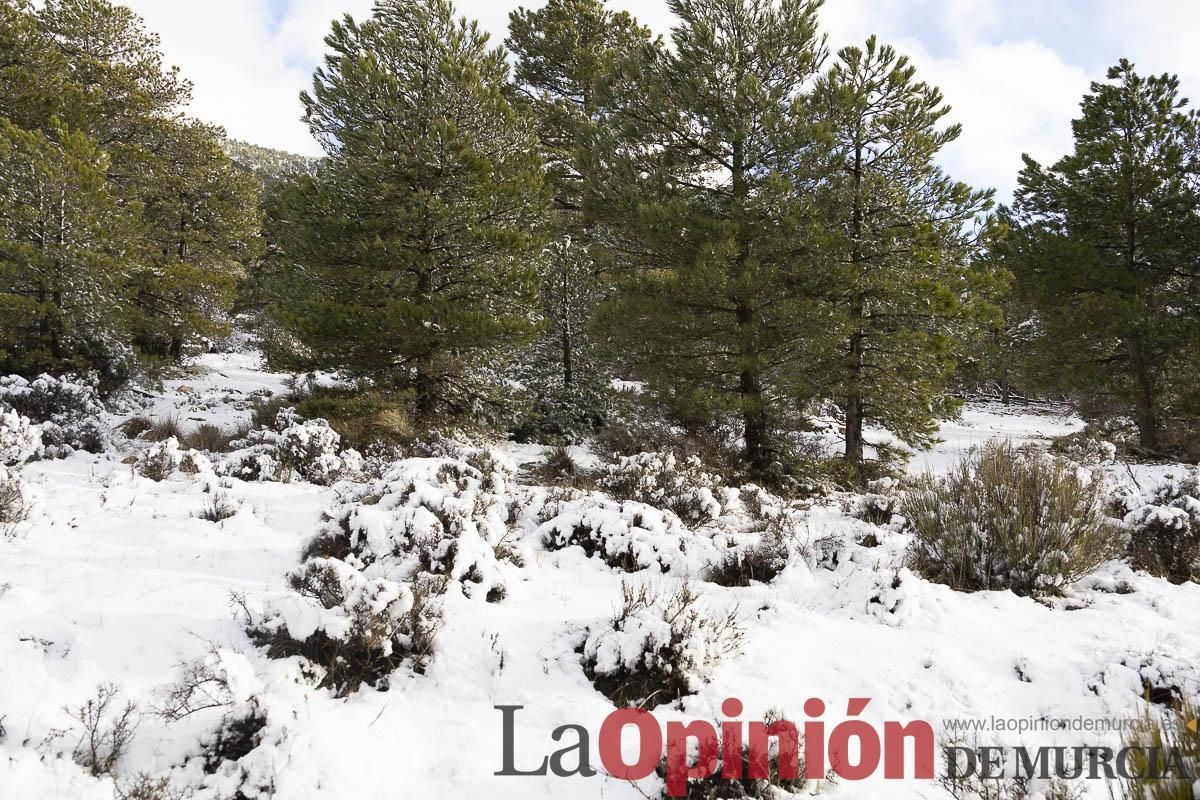 La borrasca Herminia tiñe de blanco la cima de la Región de Murcia