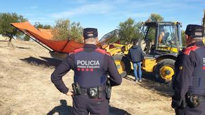 Mossos visitando campos de olivas