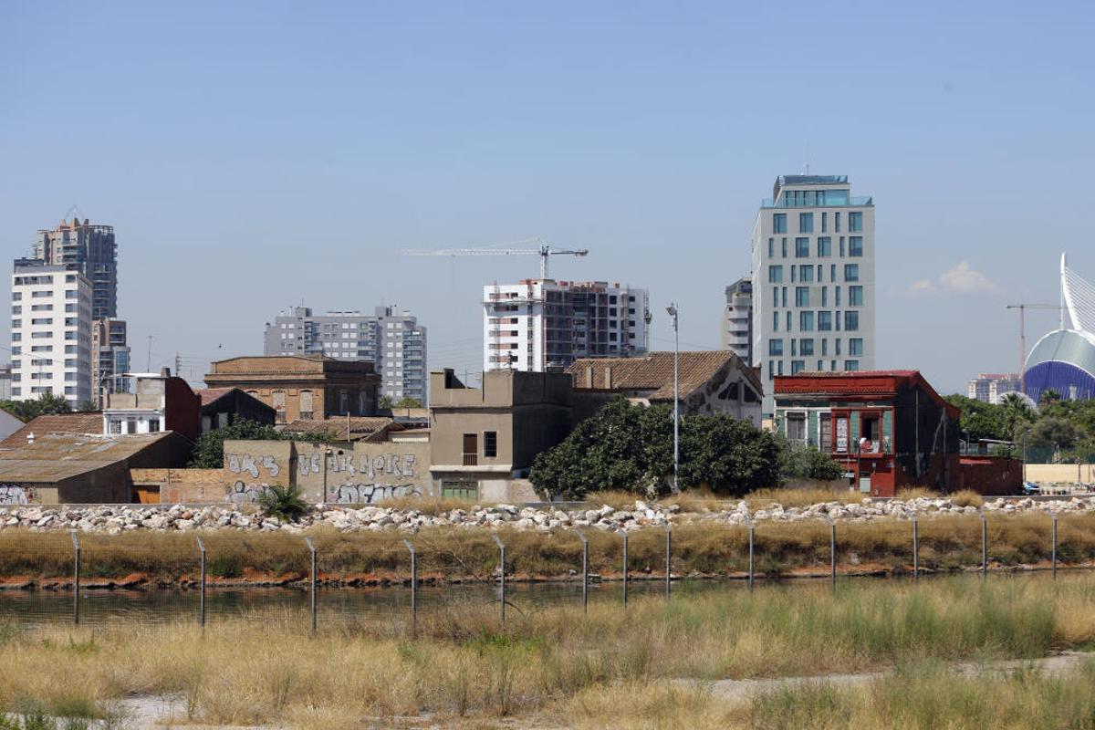 València tendrá un gran delta verte València tendrá un gran delta verte