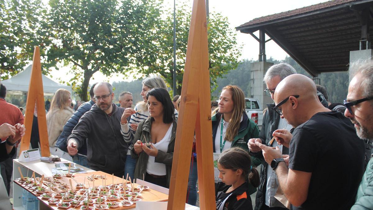Feira do Monte celebrada no campo da festa de Trasmonte.