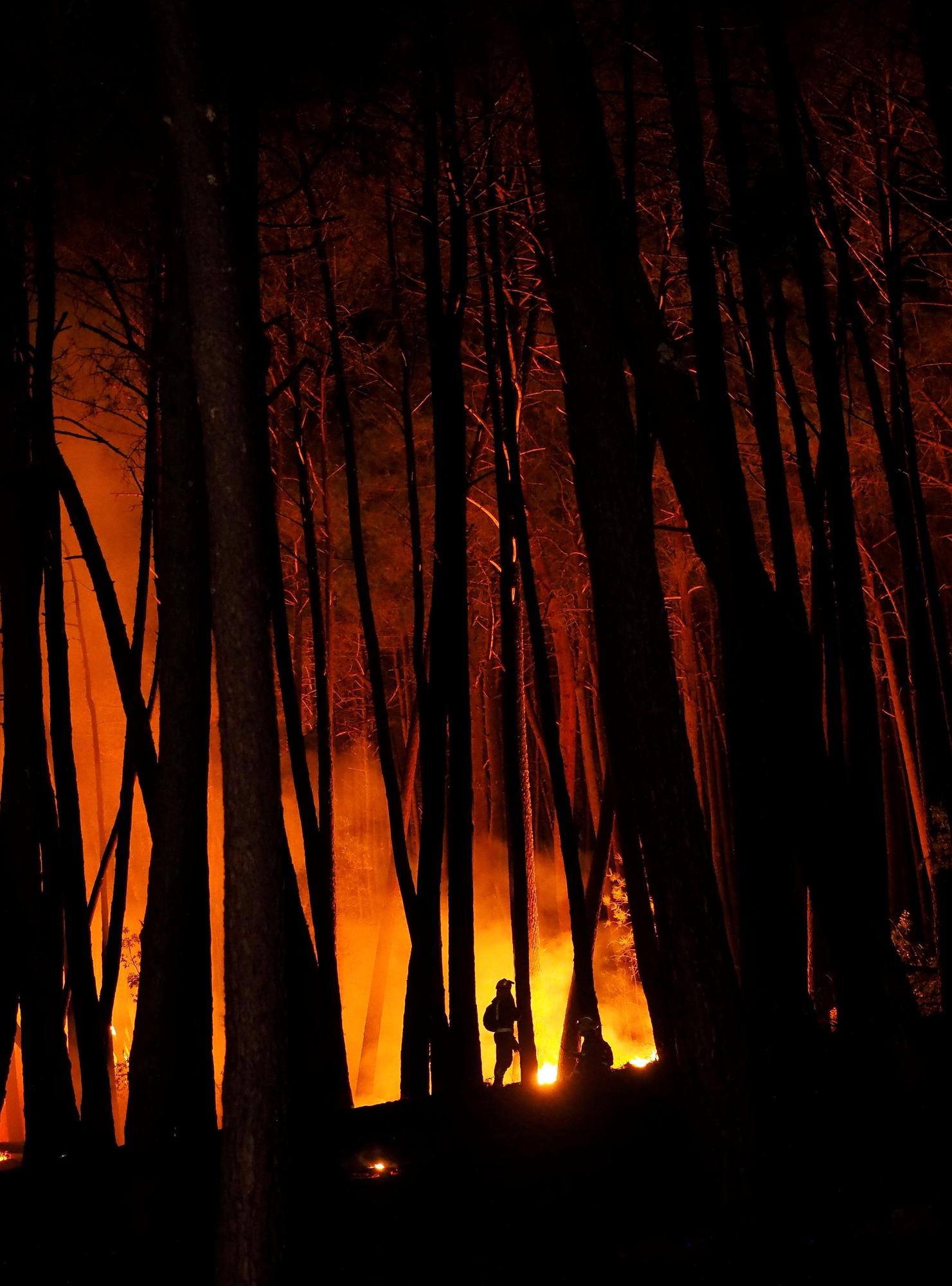 El fuego arrasa más de mil hectáreas en Ribas de Sil