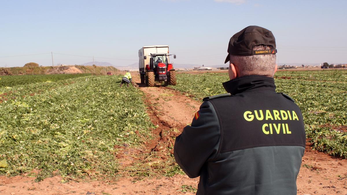 Un agente del Instituto Armado trabaja a pie de campo en la Región de Murcia.