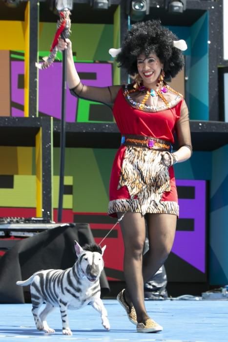 24.02.19. Las Palmas de Gran Canaria. Carnaval 2019. Concurso Carnaval Canino 2019. Eva León, presenta a Milka, con la fantasía " Desde la selva más salvaje llegan Milka y Eva a disfrutar del Carnaval Carioca. Foto Quique Curbelo