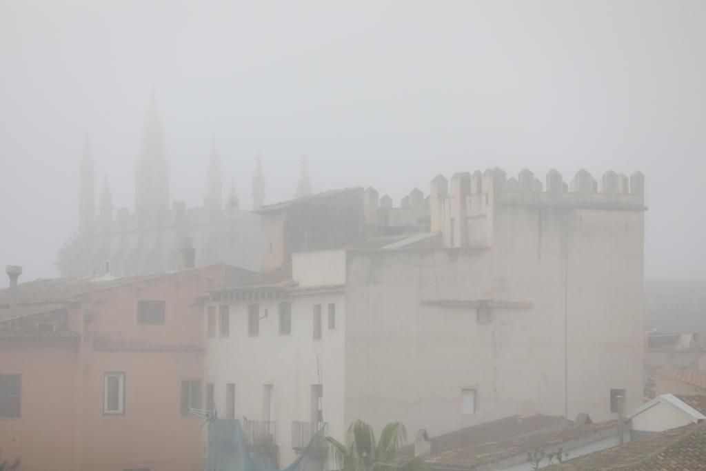 Nebel auf Mallorca: So sah es in Palma und Pòrtol am Mittwochmorgen aus