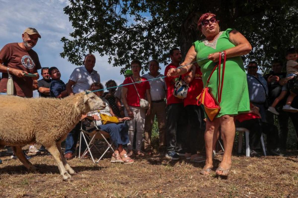 Las poxas en Meaño.