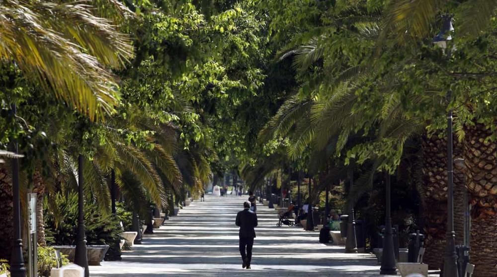 Miércoles, 29 de abril | El Centro ya vislumbra la primera fase de la desescalada