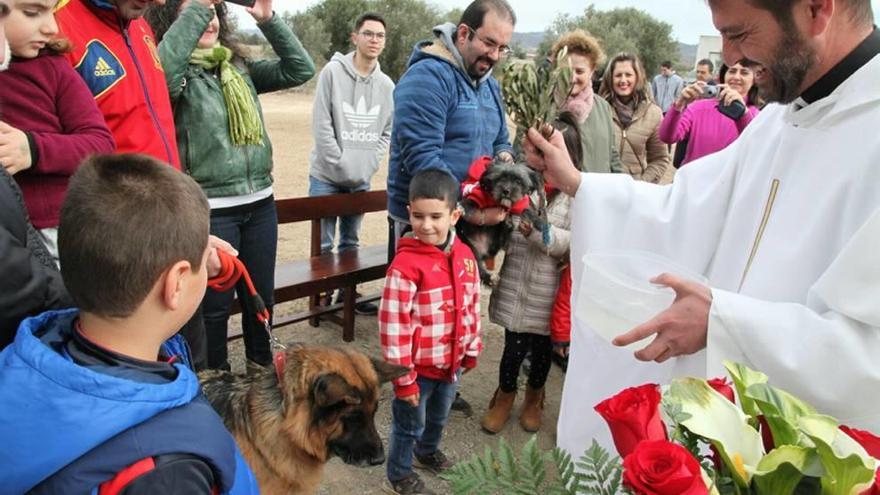 San Antón bendice sus animales en Almendricos