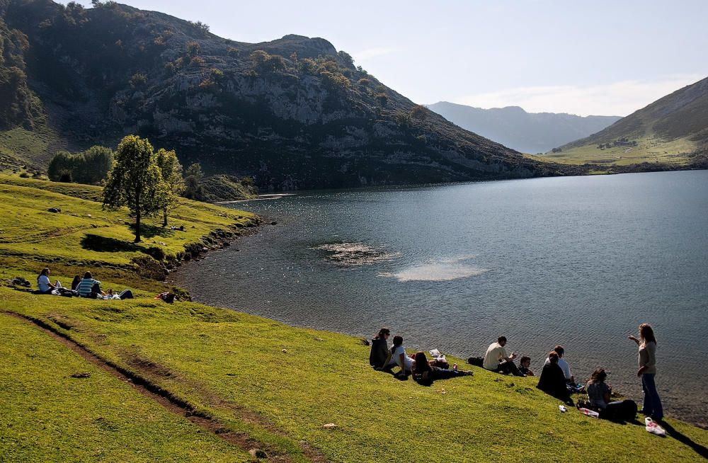 Las fotos que demuestran que los Lagos son una maravilla natural