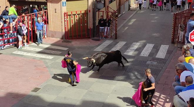 GALERÍA: Imágenes del toro del cajón de La Reata, de Benavente