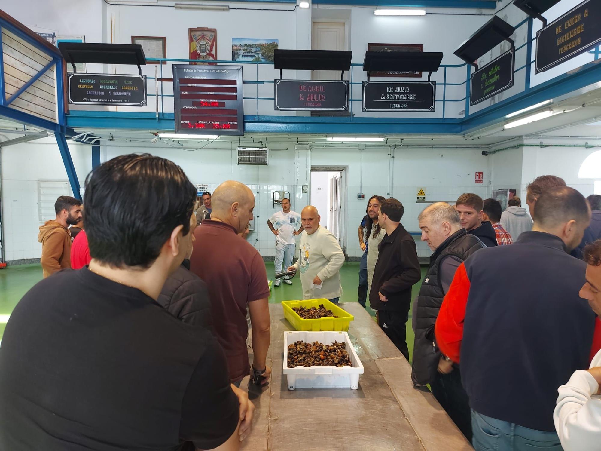 En imágenes: La primera subasta de percebe de la temporada en la rula de Puerto de Vega