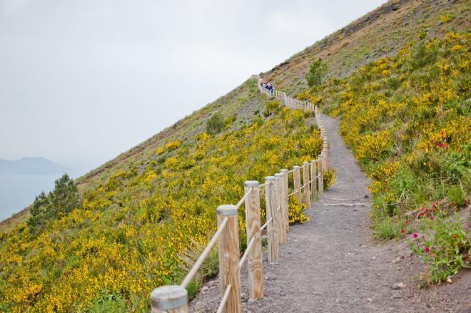 Parque Nacional Vesubio, Parques Nacionales