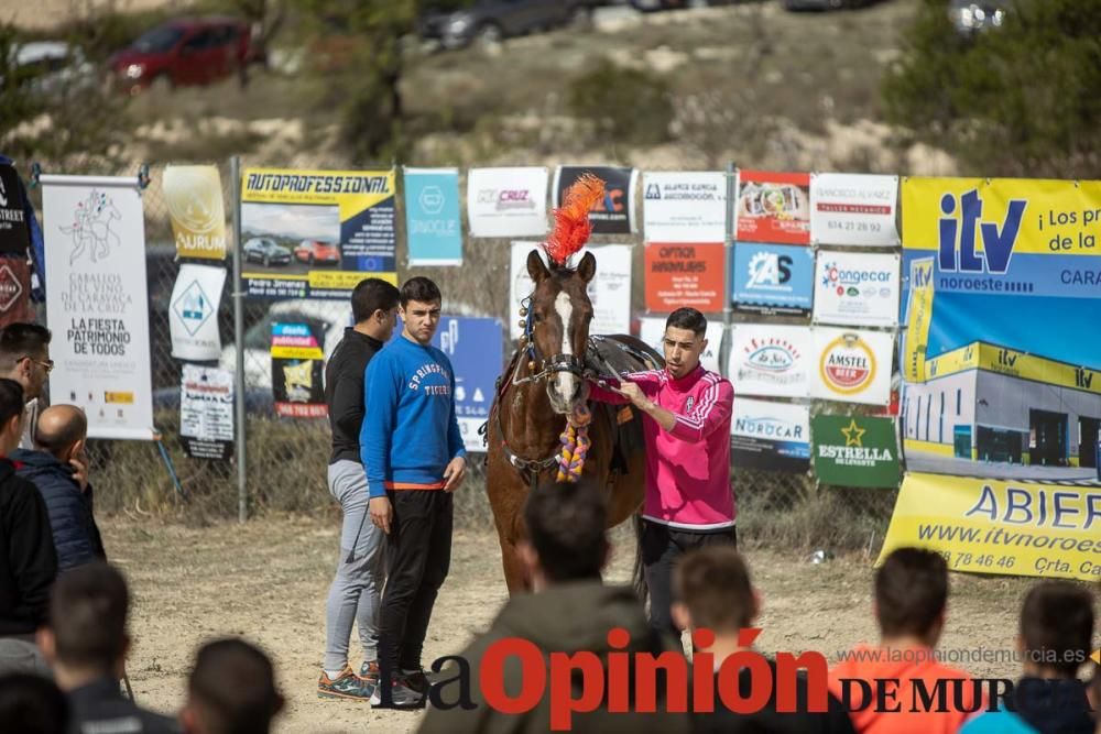 Carrera de entrenamiento de los Caballos del Vino