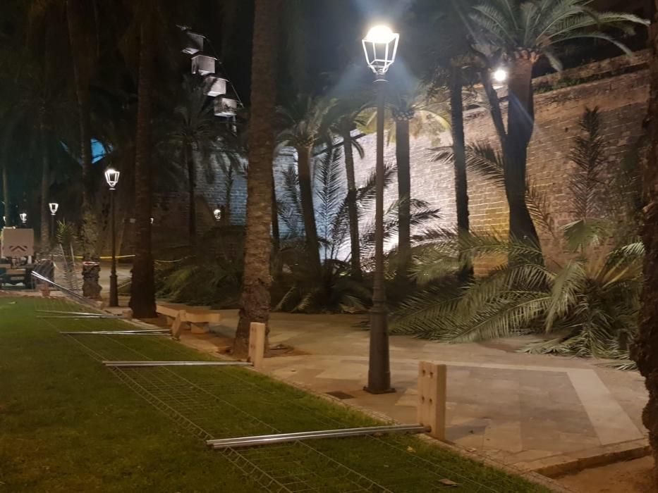 Sturm reißt sieben Palmen an Palmas Promenade um