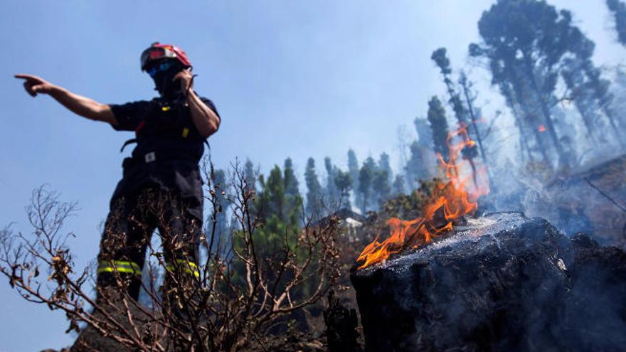 Uno de los bomberos durante los trabajos sobre el terreno, ayer por la mañana.