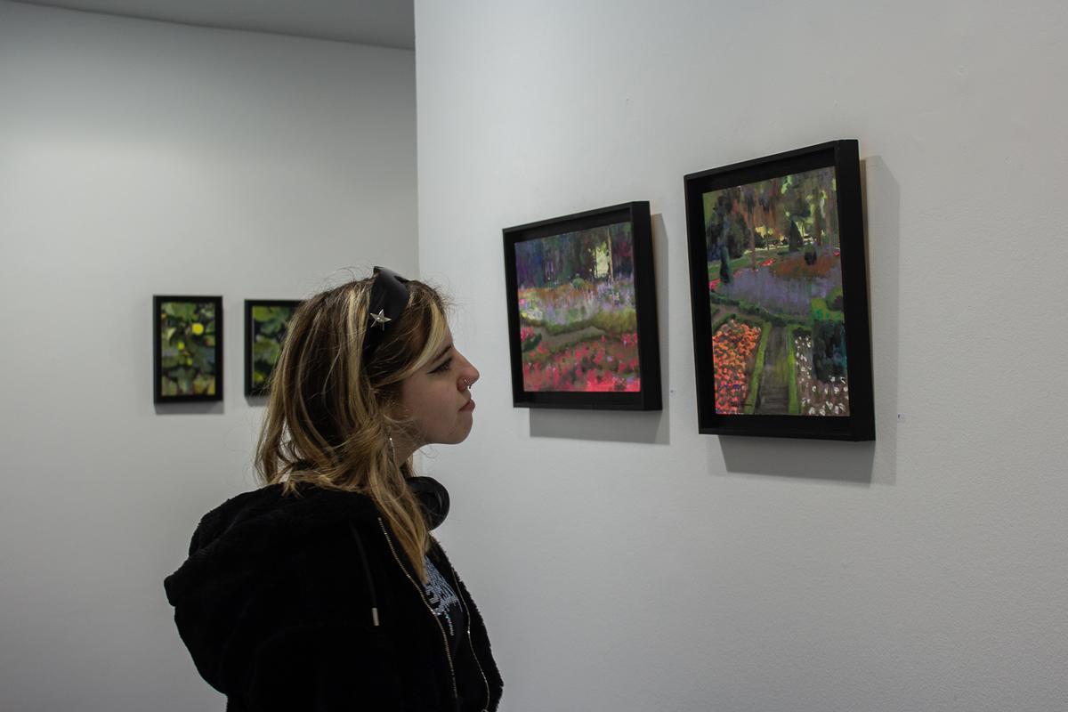 Una mujer observa algunas de las pinturas del vallisoletano