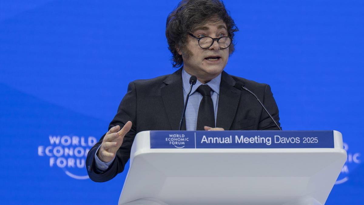Milei se hace la víctima: “Por querer darle una mano a esos argentinos me comí un cachetazo”