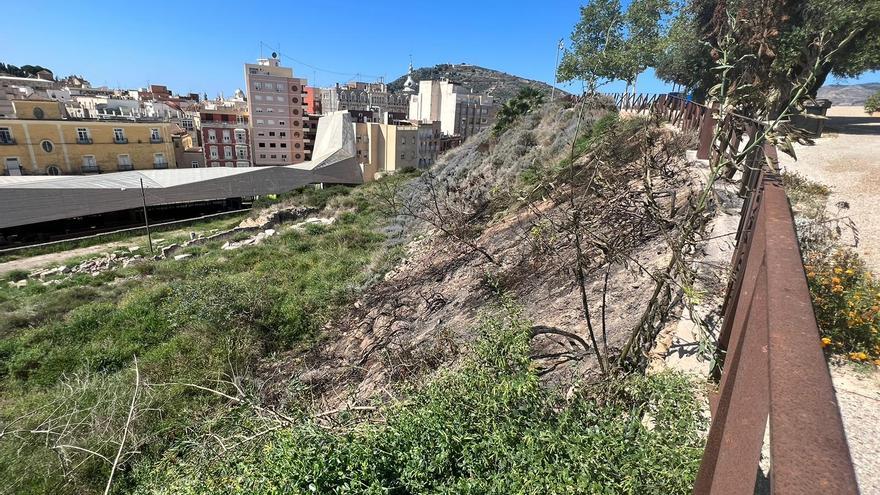 Botellones, pintadas y un incendio: Defensa del Cerro del Molinete denuncia la &quot;falta de vigilancia&quot;