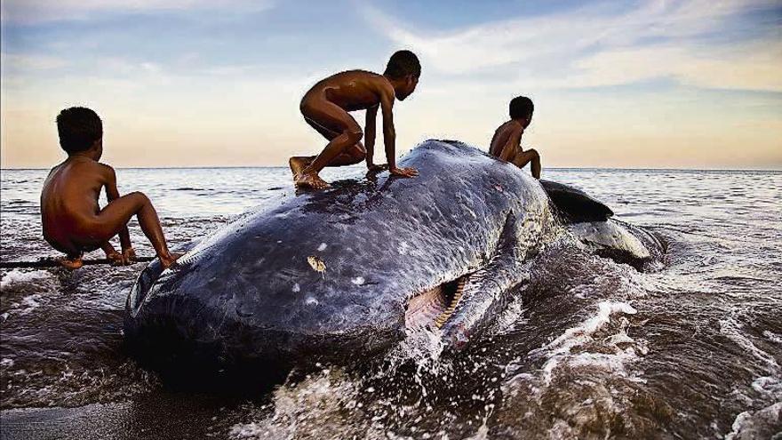 Arriba, niños jugando sobre un gran cachalote, en la isla de Lembata (Indonesia). Abajo, pescadores de Varñala (India). // Javier Teniente