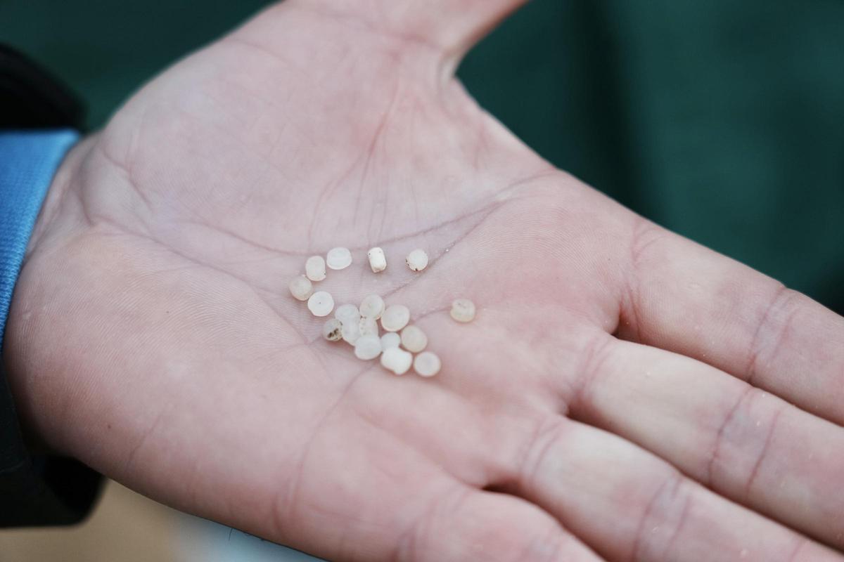 Un voluntario recoge pellets en la playa de La Arena, en Muskiz, Vizcaya.