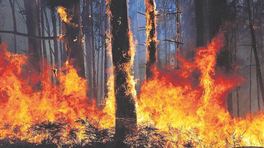 La Fiscalía investiga 55 incendios forestales en un año en Castellón