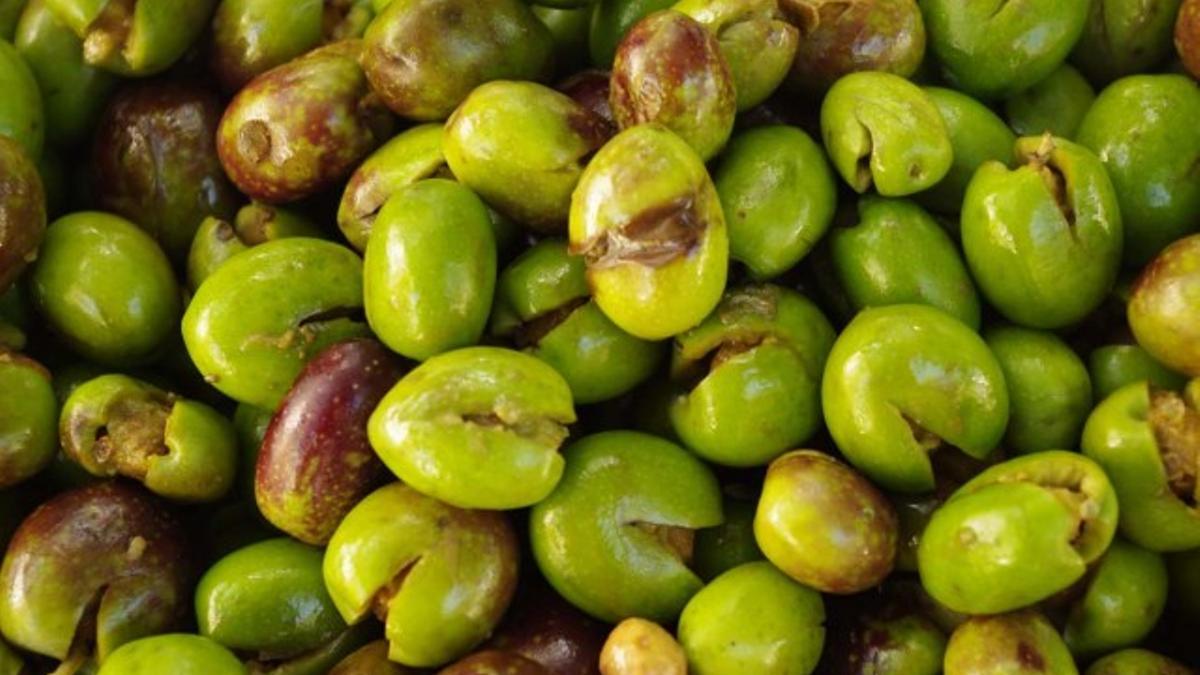 Olives trencades, típicas de Borriol