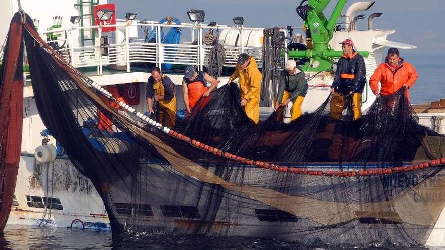 Pescadores en un barco del cerco durante una jornada de pesca de sardina. / iñaki abella