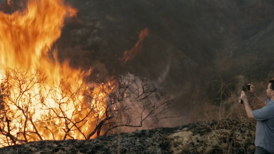 The Wild Fest - The Wild Cinema: 10 de xullo