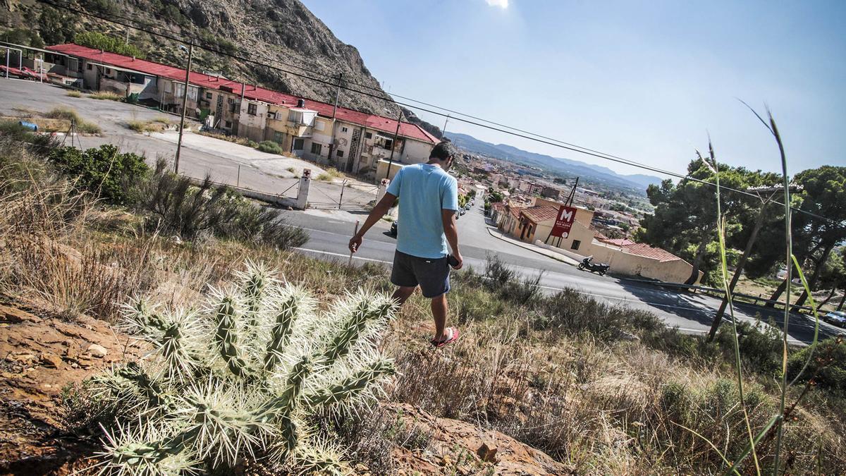 El cactus Arizona llegó a la sierra en la década de los noventa.