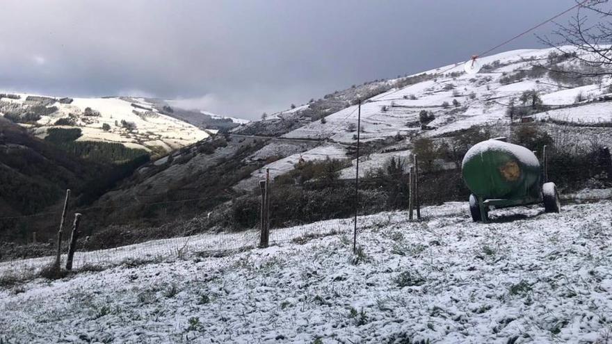 Primeras nieves caídas en la localidad de Porley, en Cangas del Narcea.