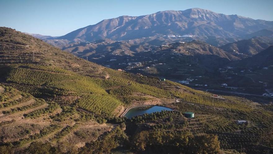 Nuevo spot promocional de Sabor a Málaga