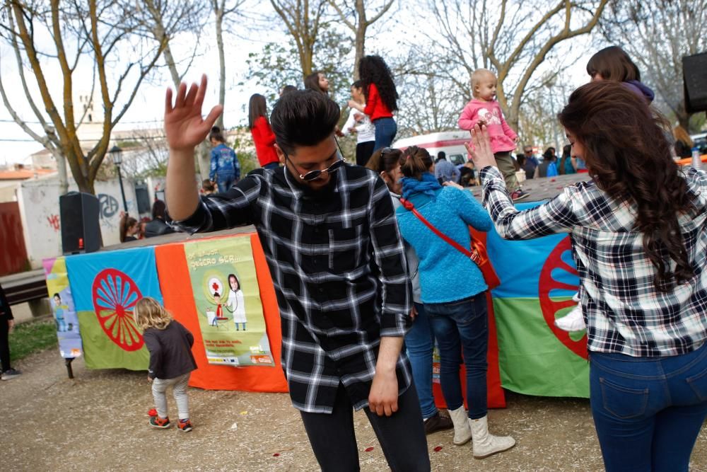 El pueblo gitano celebra el Día Mundial en Zamora